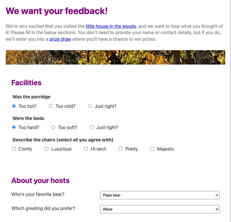 The finished example for the challenge; a feedback form showing two sets of radio buttons, a set of checkboxes, and two drop-down select menus